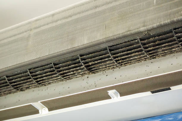 Best Best Air Duct Cleaning Company  in Woodville, AL